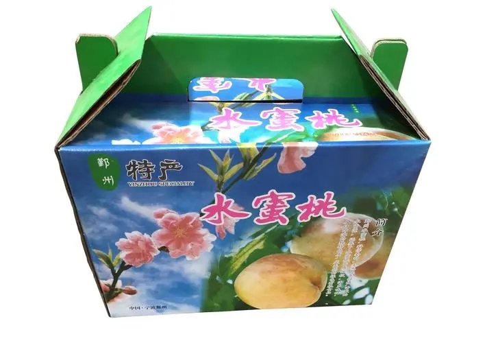 西安(ān)紙箱(xiāng)案例(lì)展示